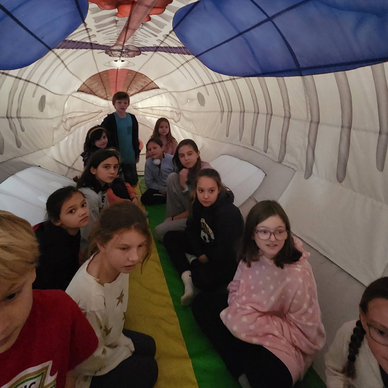 students inside a model whale